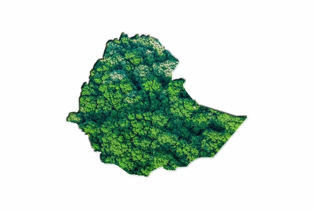 Mappa della foresta verde dell'Etiopia, su sfondo bianco