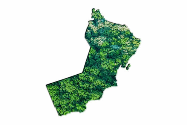 Mappa della foresta verde dell'Oman, su sfondo bianco