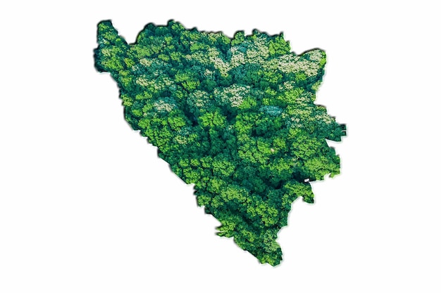 Mappa della foresta verde della Bosnia ed Erzegovina, su sfondo bianco