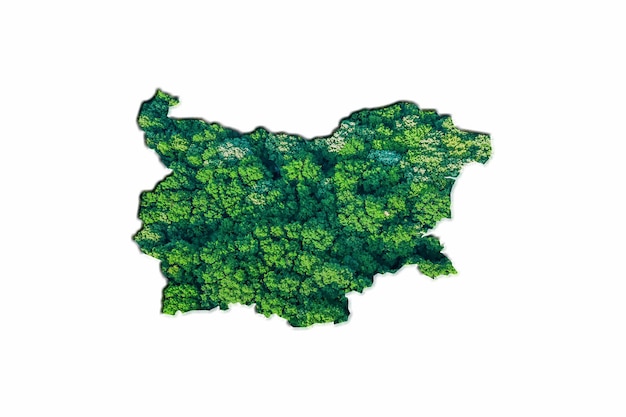 Mappa della foresta verde della Bulgaria, su sfondo bianco