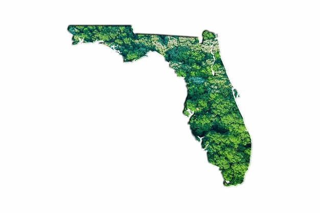 Mappa della foresta verde della Florida, su sfondo bianco
