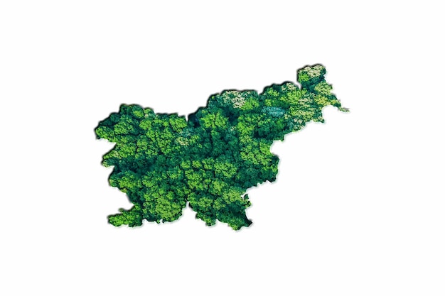 Mappa della foresta verde della Slovenia, su sfondo bianco