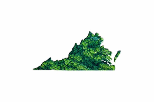 Mappa della foresta verde della Virginia, su sfondo bianco