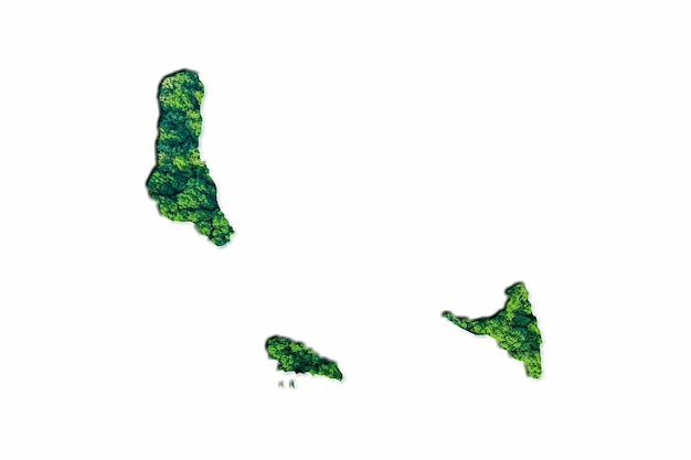 Mappa della foresta verde delle Comore, su sfondo bianco