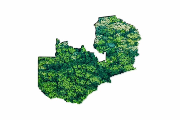 Mappa della foresta verde dello Zambia, su sfondo bianco