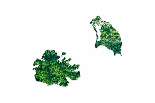 Mappa della foresta verde di Antigua e Barbuda, su sfondo bianco