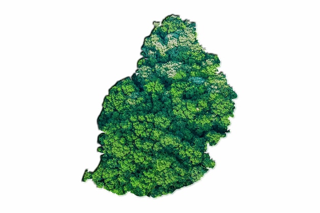 Mappa della foresta verde di Mauritius, su sfondo bianco