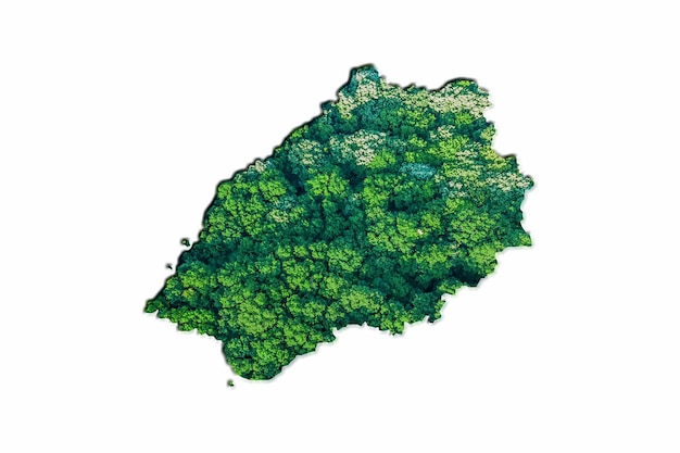 Mappa della foresta verde di Sant'Elena, su sfondo bianco