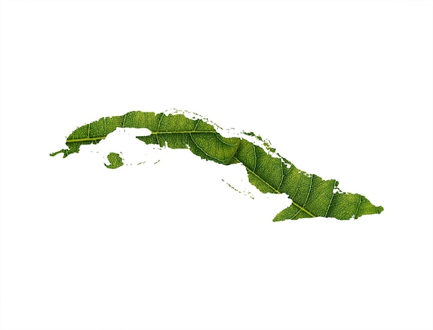 Mappa di Cuba fatta di foglie verdi sul concetto di ecologia del fondo del suolo