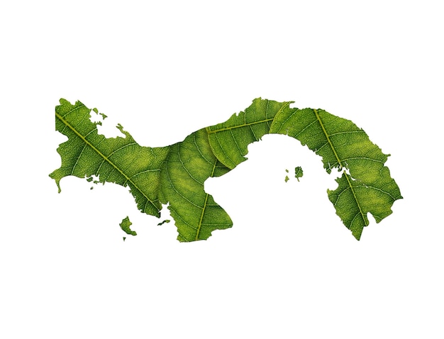 Mappa di Panama fatta di foglie verdi sul concetto di ecologia del fondo del suolo