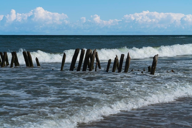 Mar Baltico e frangiflutti in legno sulla spiaggia di Curonian Spit in un giorno d'estate Regione di Kaliningrad Russia