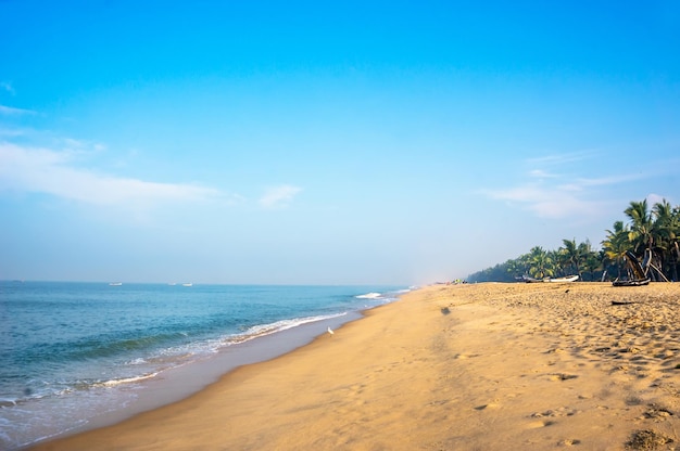 Mararikulam contenuto spiaggia tropicale