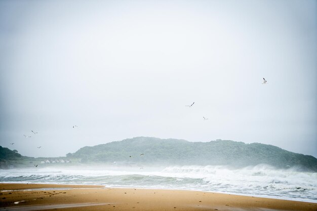 Mare aperto