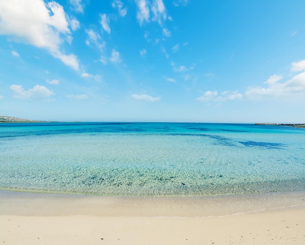 Mare azzurro nella spiaggia La Pelosa Sardegna