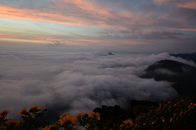 Mare di nebbia sulla cima della montagna.