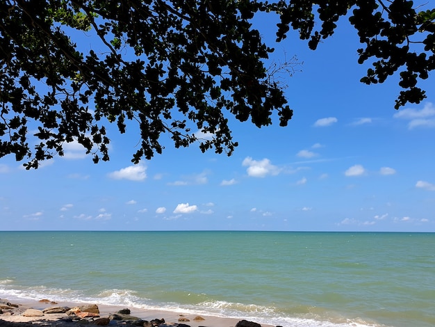 Mare e cielo azzurro con nuvole che guardano da sotto gli alberi della spiaggia