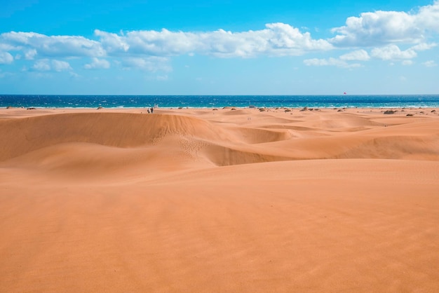 Mare e dune di sabbia del deserto con cielo nuvoloso in una luminosa giornata di sole