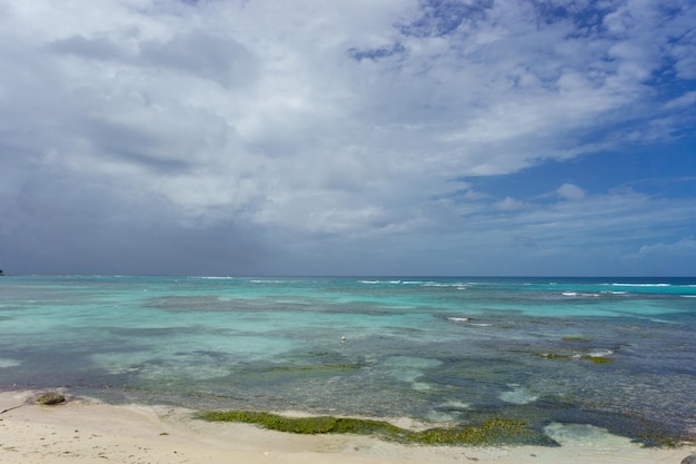 Mare e spiaggia idilliaca durante il giorno nuvoloso