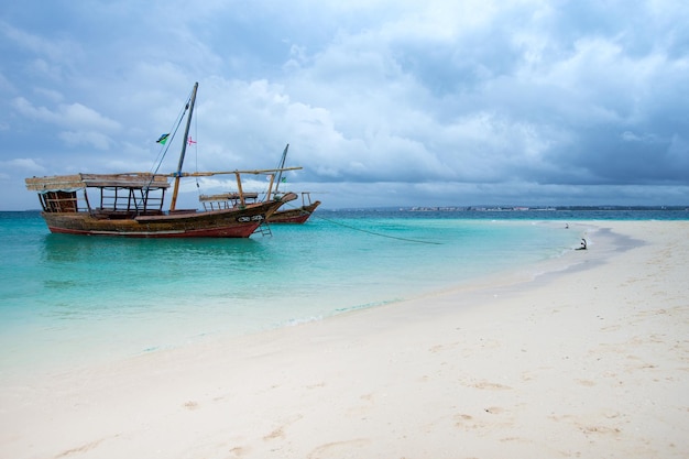 Mare nella spiaggia di Zanzibar. Paradiso acquatico tropicale naturale. la natura si rilassa. Viaggia sull'isola tropicale resort.