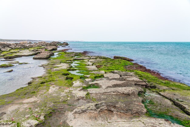 Mare roccioso con acqua limpida