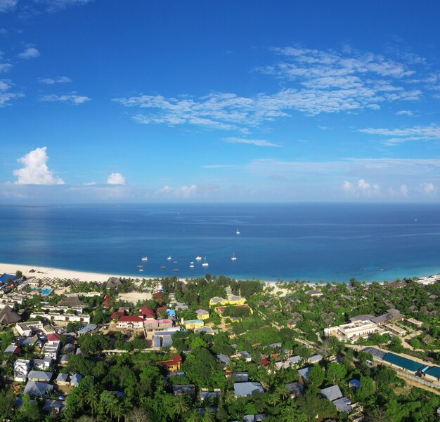 Mare tropicale. Incredibile vista dagli occhi degli uccelli a Zanzibar?