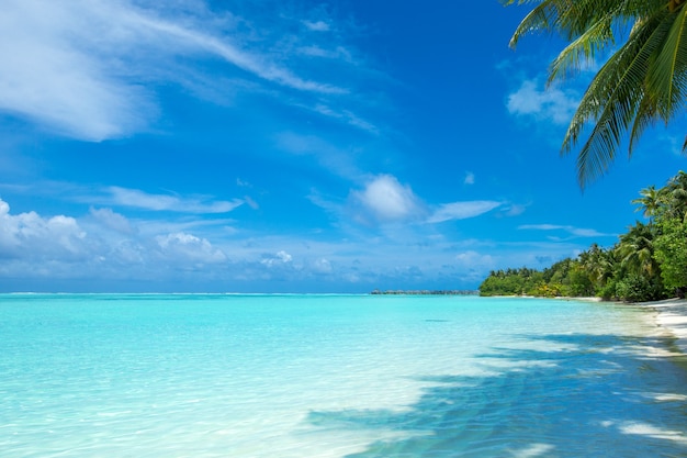 Mare tropicale sotto il cielo blu. Paesaggio di mare.