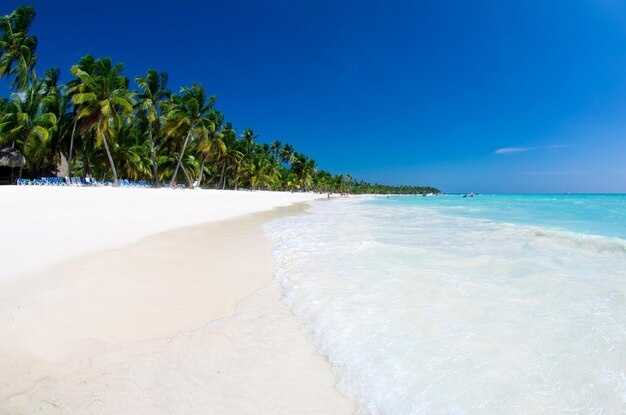 Mare tropicale sotto il cielo blu