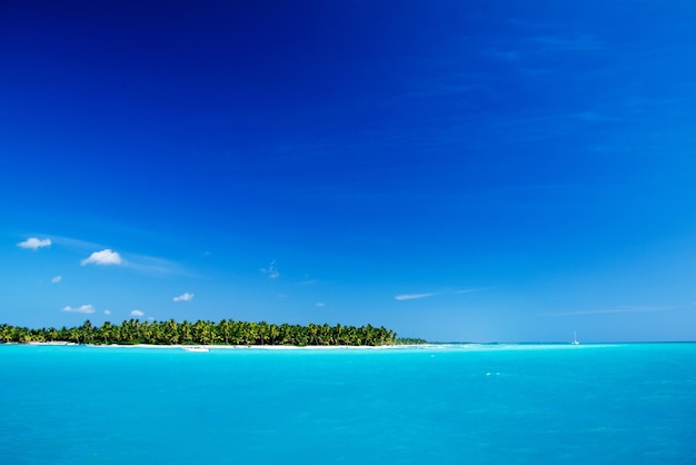 Mare tropicale sotto il cielo blu