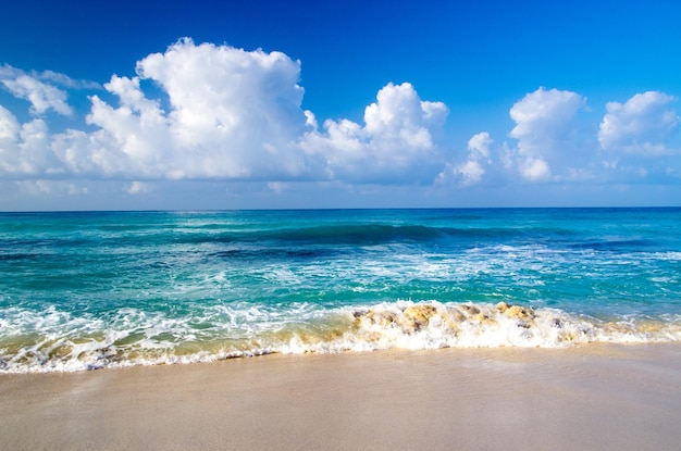 Mare tropicale sotto il cielo blu