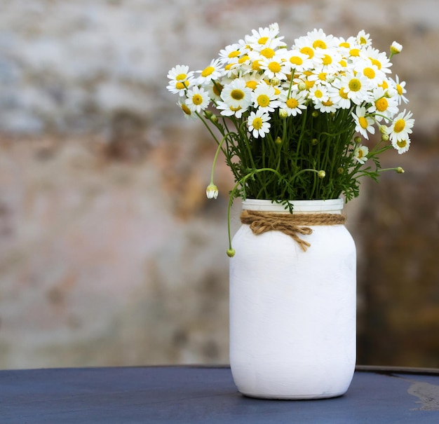 Margherite in fiore in un vaso