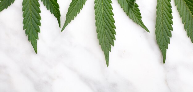 marijuana con spazio di sfondo in marmo per il testo