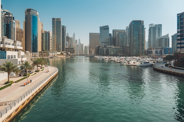 Marina della città di Dubai