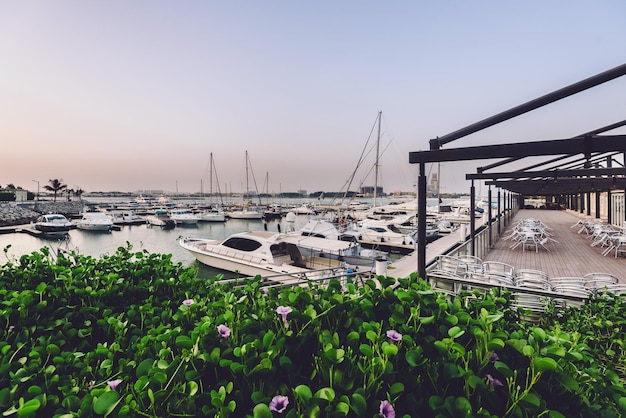 Marina e Yacht Club di Ras Al Khaimah