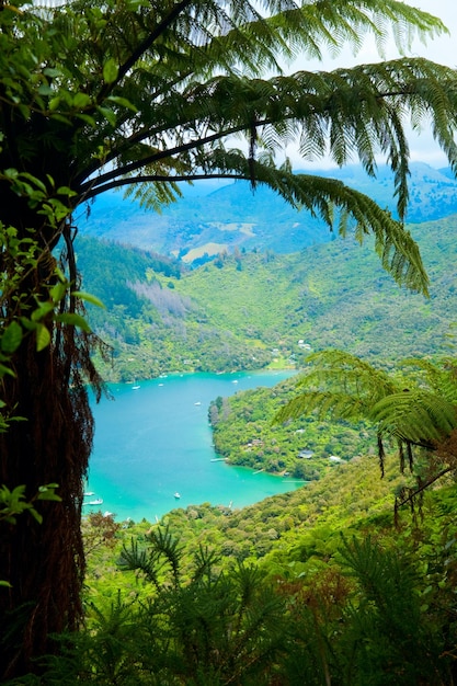 Marlborough Sounds