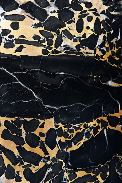 Marmo nero naturale lucido con venature gialle chiamato Nero Portoro.
