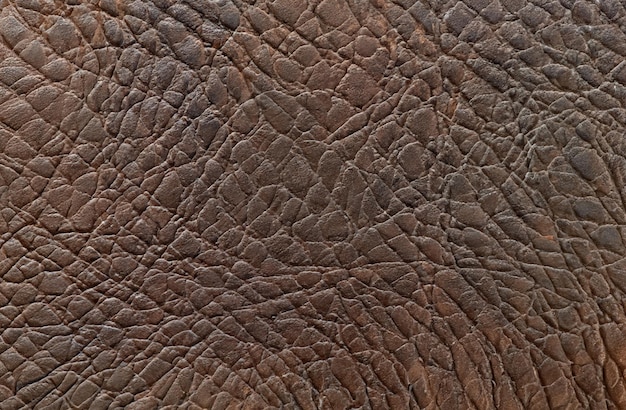 marrone sfondo texture di cuoio