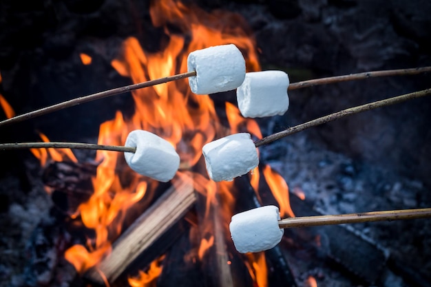 Marshmallow delizioso e dolce sul bastone sopra il falò