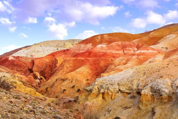 Marte nei Monti Altai Il pendio del terrazzo fluviale con l'esposizione di argille colorate