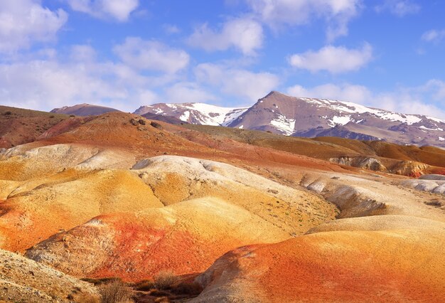 Marte nei Monti Altai Il pendio del terrazzo fluviale con l'esposizione di argille colorate