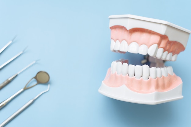 Mascella artificiale e specchio dentale, pinzette e sonda