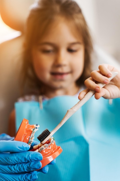 Mascella modello anatomico spazzolatura dei denti primo piano Dentista pediatrico che insegna igiene orale lezione per bambini in odontoiatria Il dentista mostra al bambino come usare correttamente lo spazzolino da denti per lavarsi i denti