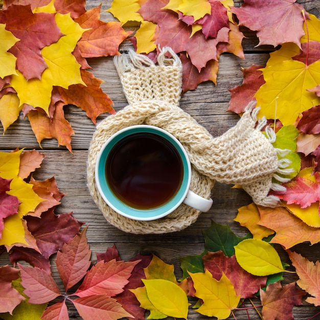 Maschera di autunno con una tazza di tè in una sciarpa in foglie di autunno