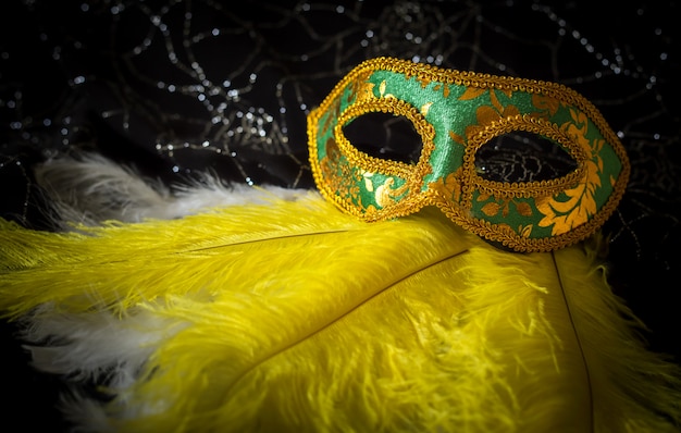 Maschera di Carnevale verde con piume gialle e bianche e sfondo lucido