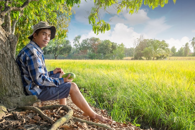 Maschio asiatico degli agricoltori che si siede sotto l&#39;albero di mango al campo dell&#39;azienda agricola del riso alla Tailandia