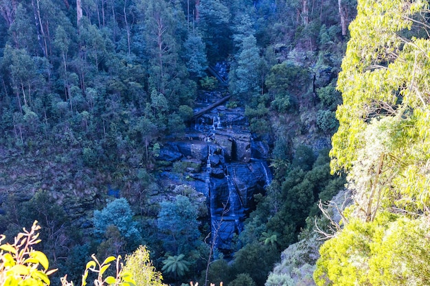 Masons Falls nel Kinglake National Park in una fresca giornata d'autunno a Melbourne Victoria Australia