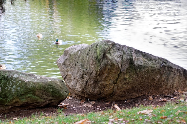 massi sulla riva del fiume nel Parco