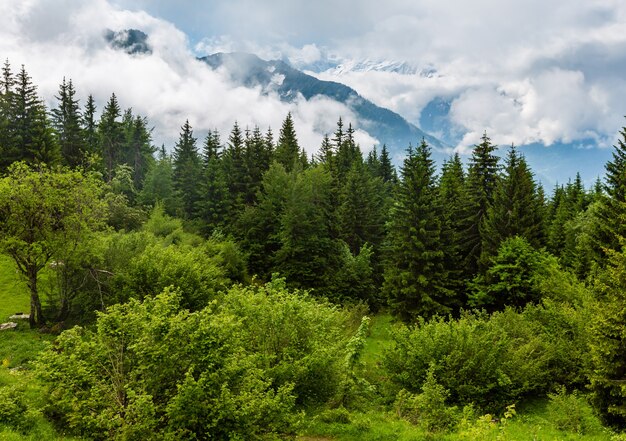 Massiccio montuoso del Monte Bianco (valle di Chamonix, Francia, vista dalla periferia di Plaine Joux).