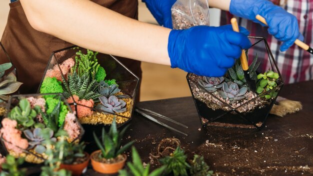 Master class di giardinaggio domestico. Primo piano delle mani che utilizzano pale per versare la ghiaia in vasi di vetro con piante grasse.