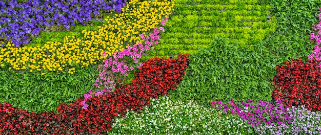 Materiale di fondo della parete di fiori e piante