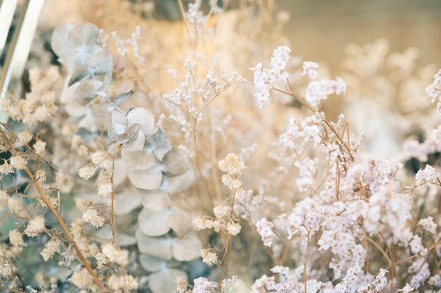 Matrimonio femminile con eucalipto secco, fiori di campo.